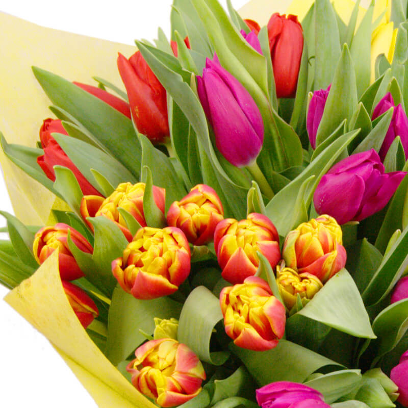 Clare Florist - Your Go-To Destination for Beautiful Flowers Delivered Across the UK